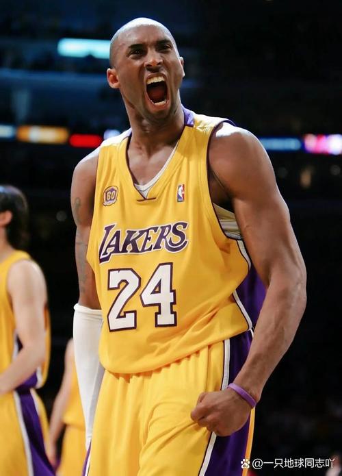 新鹏城队将于11月14日举办球迷开放日活动，今天14点开启报名（新鹏城队11月14日球迷开放日，报名今日14点开启）